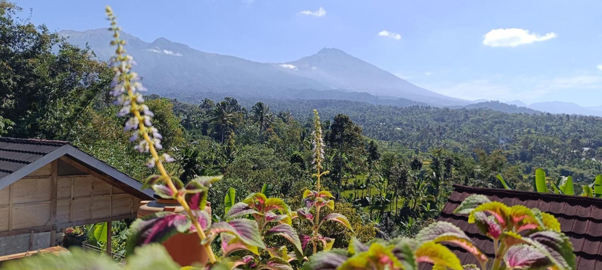 Tetebatu Terrace Homestay Luaran gambar
