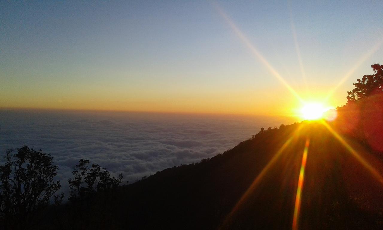 Tetebatu Terrace Homestay Luaran gambar
